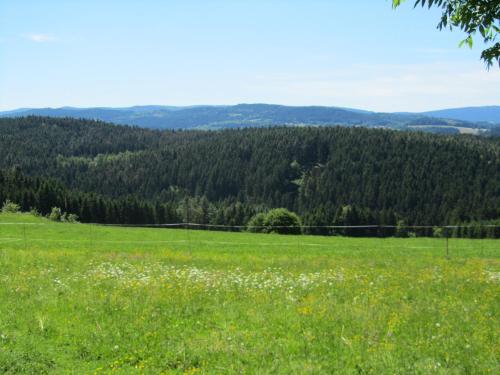 Ferienhaus Zopfhäusl