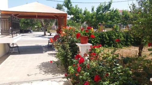 Hotel Aris - image 8