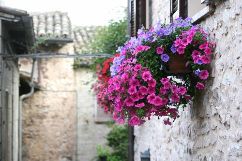 Hotel Palazzo Brunamonti