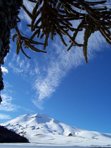 卡萨弗尔德生态旅馆