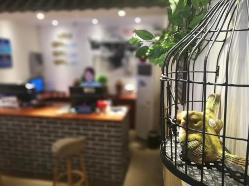 Happy Dragon Alley Hotel-In the city center with big window&free coffe, Fluent English speaking,Tourist attractions ticket service&food recommendation,Near Tian Anmen Forbiddencity,Near Lama temple,Easy to walk to NanluoAlley&Shichahai