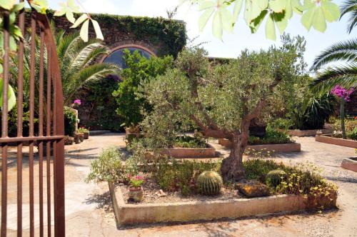 Agriturismo Zinedi