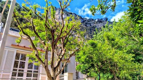 Don Raffaé chambre d'hôte Marciano