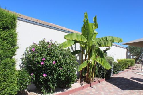 Gîte Fleur de Sable La Rochelle