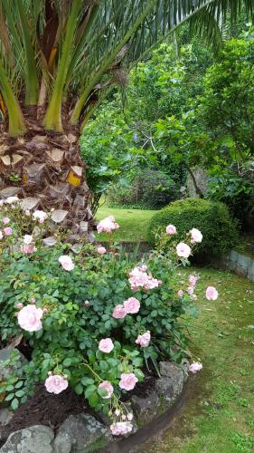 Franklyn Guesthouse 5