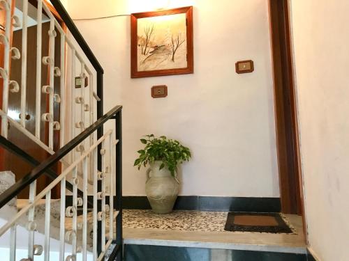 入口, Nausicaa Beach and Town in 阿格羅波利