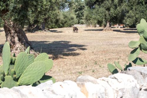 Masseria Eccellenza