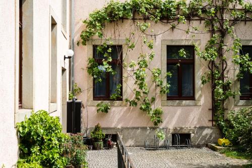Pension an der Pillnitzer Schlossfähre - image 4