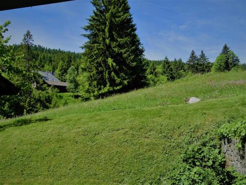 Schwarzwald Aparthotel Kräutle - image 2