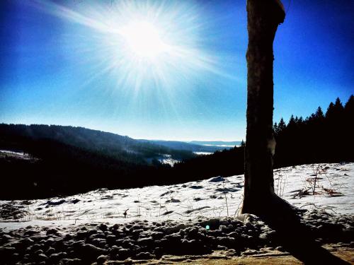  La Reposée du Lac in Vielsalm