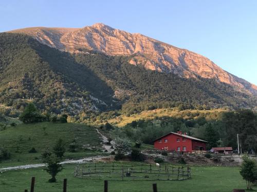 Accommodation in Opi
