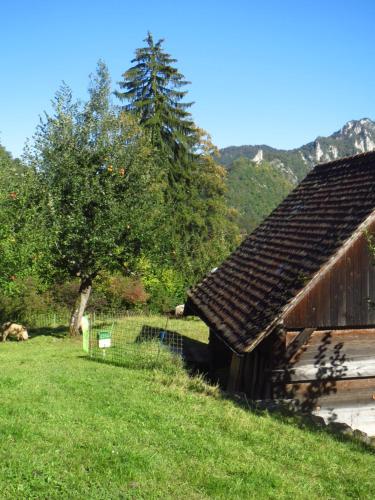 المنطقة المحيطة, Apartment da Gabriela in Waldenburg