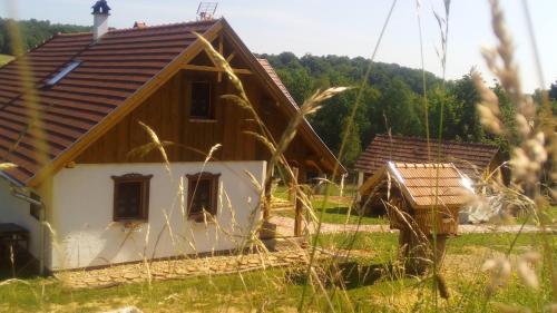 Ieeja, Pagony Pihenő Farm (Pagony Piheno Farm) in Orfalu