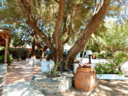 Camping Mithimna - image 11