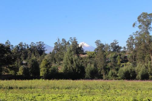 Hotel Tababela Land