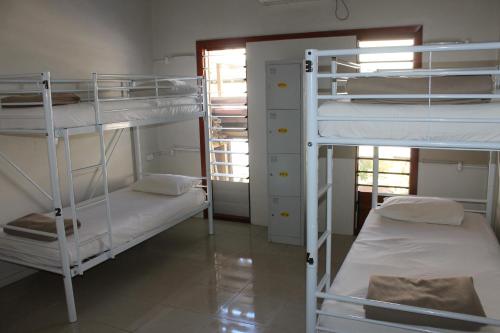 Bunk bed in 4-Bed Mixed Dormitory Room room in Smugglers Cove Beach Resort and Hotel