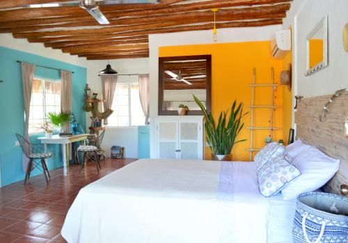 

Casa Mango