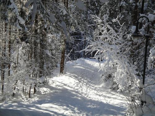 Chalet Tyrol