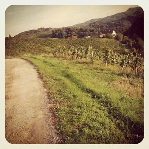 Holiday Home Winzerhaus Eva