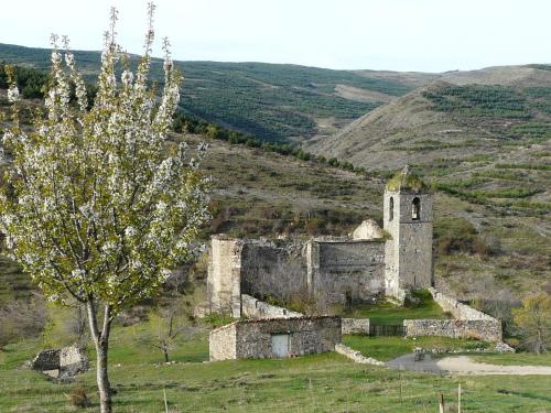 Aktivitātes, La Colmenita in Navalsaz