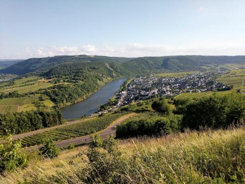 Ferienwohnung "Zum Klosterruinenblick"