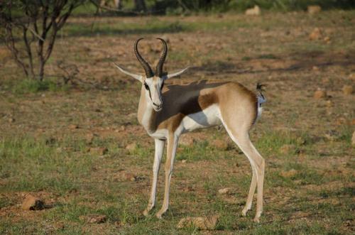 Ai Aiba - The Rock Painting Lodge Ai Aiba - The Rock Painting Lodge