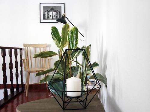 Foral Guest House - Óbidos - image 2