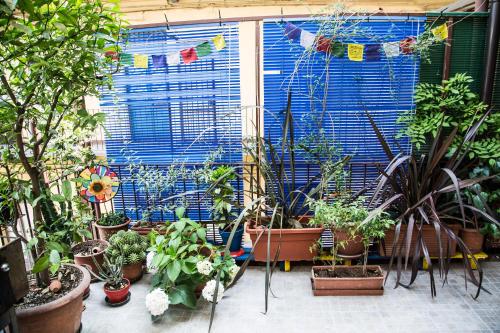 

Appartamento con Terrazzo