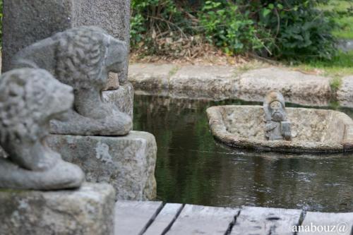 Finca Galea - image 6