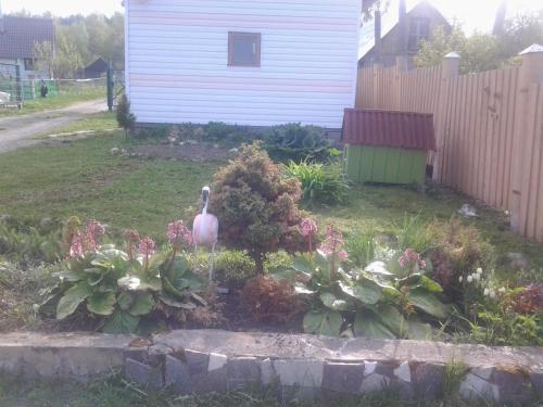Guest house Shuiskaya Chupa - image 5