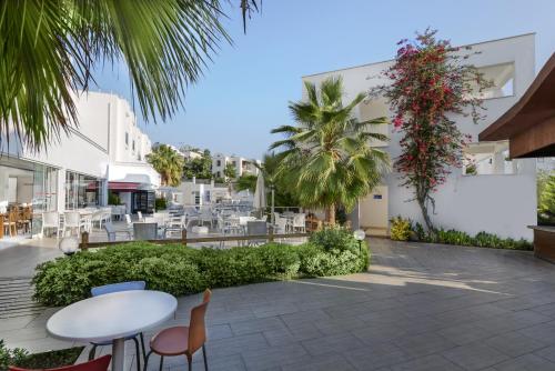 鯊魚俱樂部酒店 Club Shark Hotel