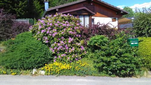 Accommodation in Saint-Amé