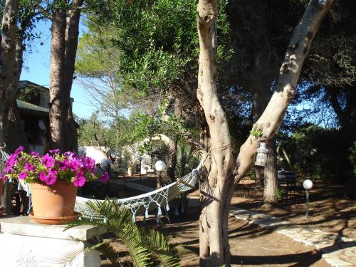 Breezes B&B Otranto