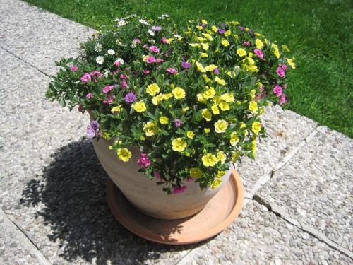 Ferienwohnungen Thalmeier - image 13