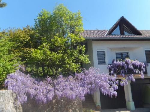 A szálláshely kívülről, Apartments Jaka in Dolenjske Toplice