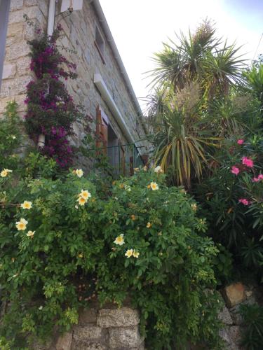 GITE , Maison de vacances avec extérieur et terrasse fleurie meublé tourisme 3 étoiles