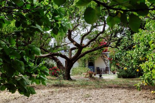  Margouno Eco Cottage, Pension in Engaraí