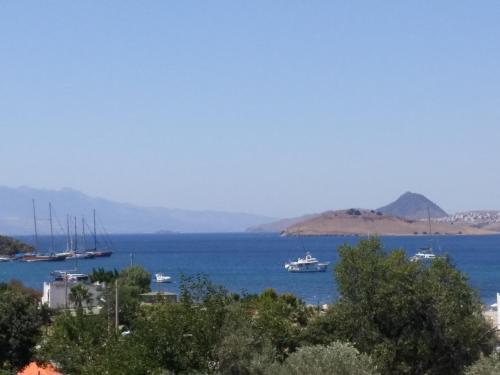 A Hotel Com Mini Star Hotel Hotel Bitez Turkey Price Reviews Booking Contact