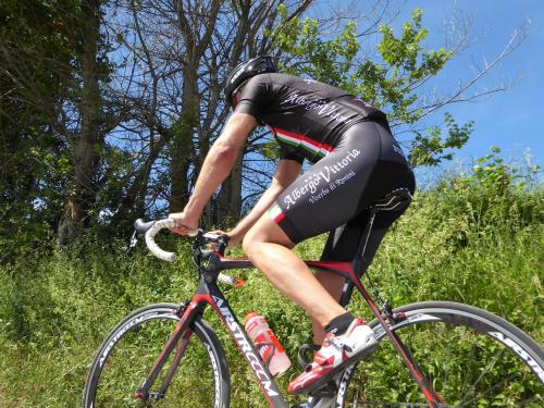 Albergo Vittoria - image 4