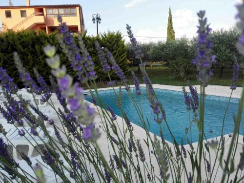  Apartment Rojnic in Galižana