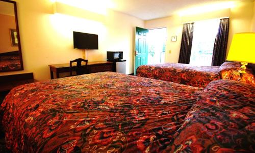 American Motel - Lenoir - 전망