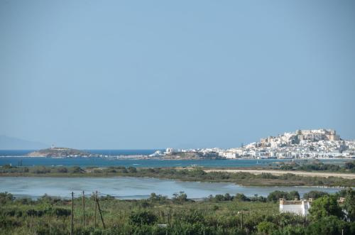 Naxian spirit