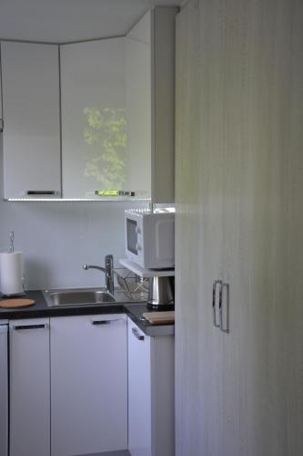 Nord - image 5