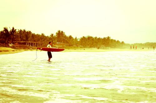 Troncones Point Hostel