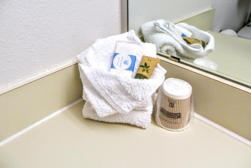 Guest House Inn Medical District near Texas Tech Univ - 화장실
