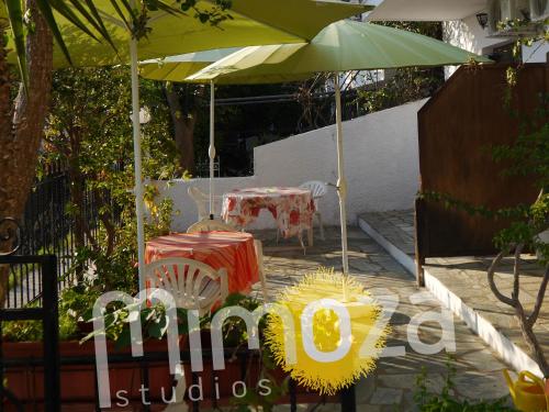 Fasiliti, Mimoza Studios in Skiathos Island