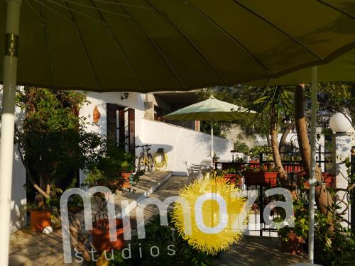 Mimoza Studios in Skiathos Island