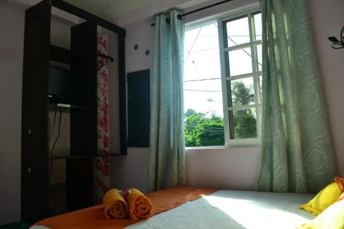 Hostel Stingray – San Andres Island, CO