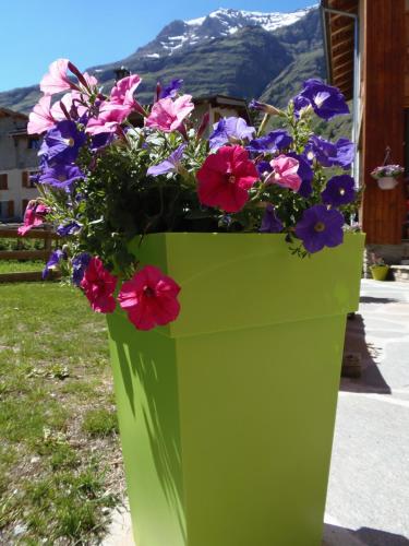 Chalet l'aubépine résidence B&B - image 8