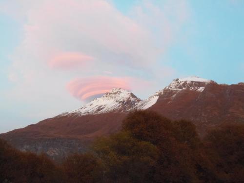 Chalet l'aubépine résidence B&B - image 4